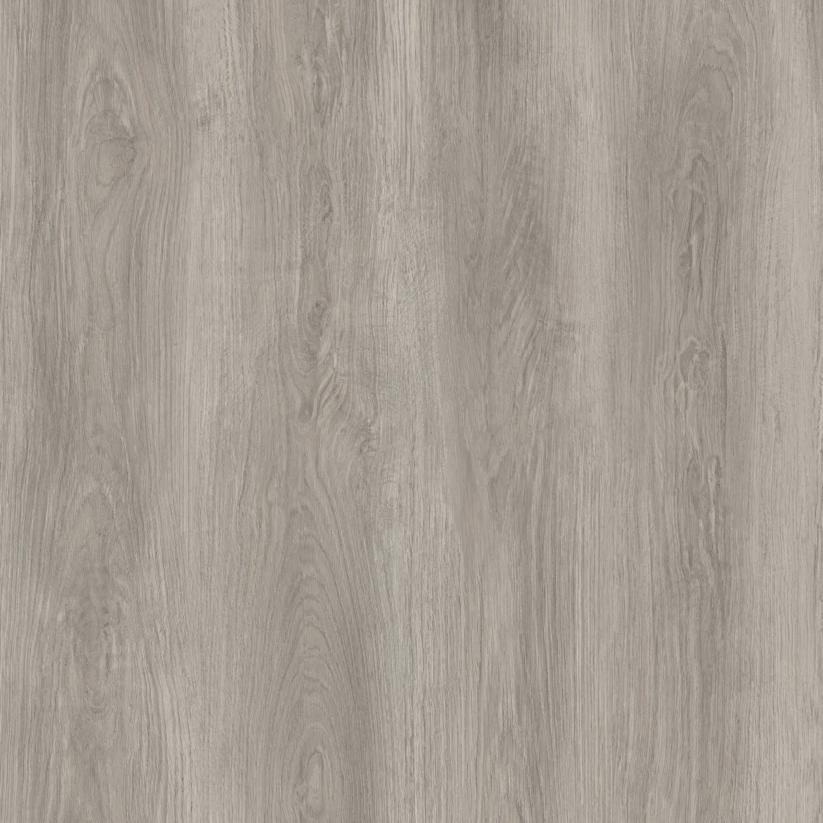 Dove Grey Oak Dryback LVT