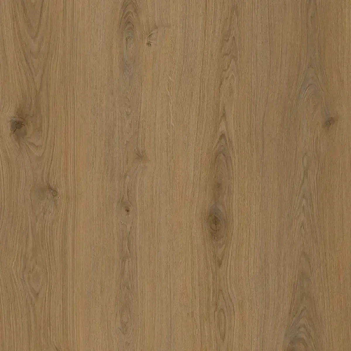 Harvest Oak 5.2mm SPC Click