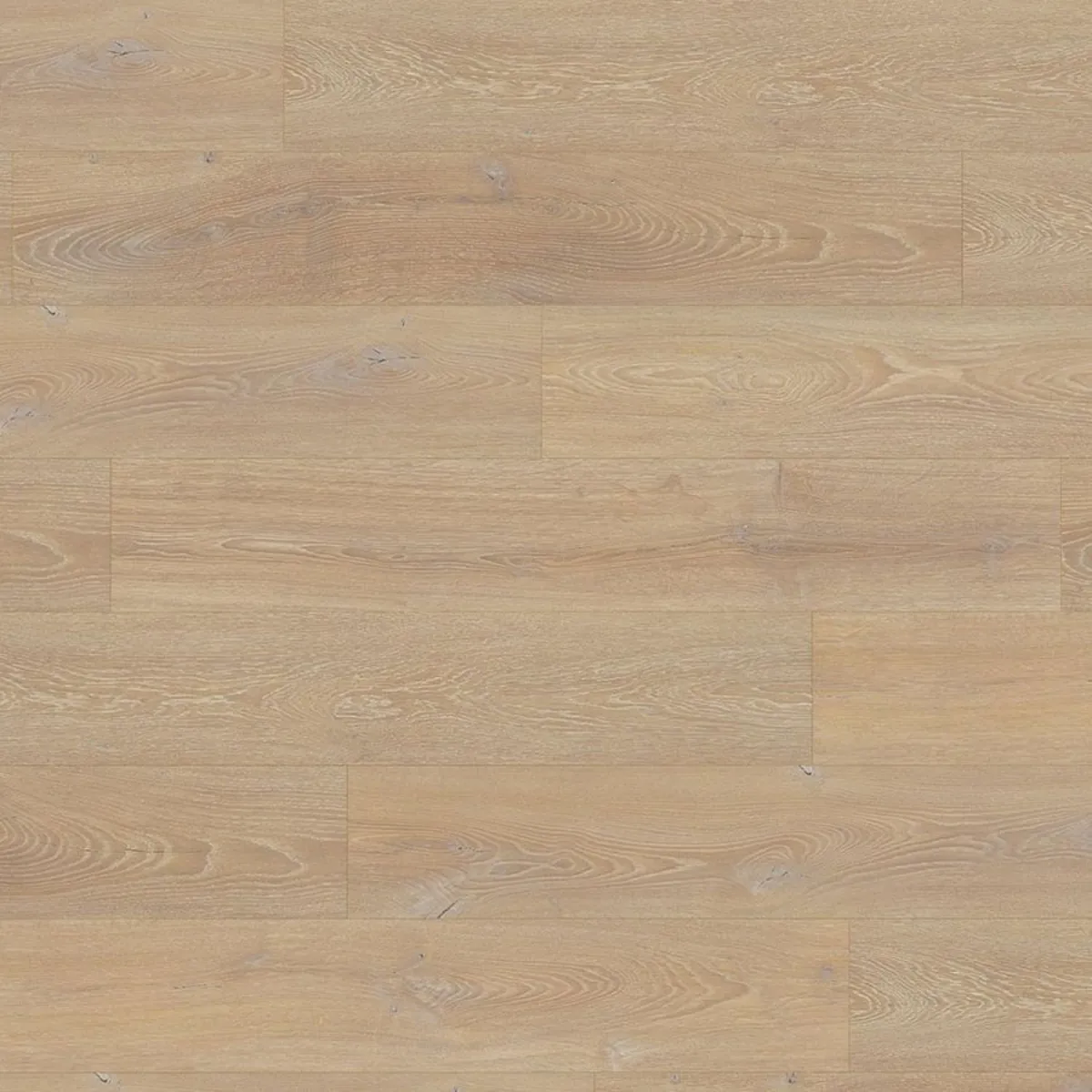 Desert Oak 12mm Laminate