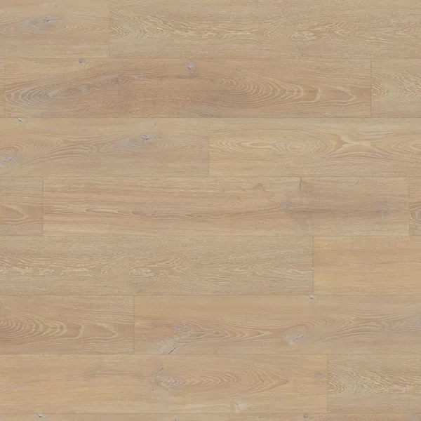Desert Oak 12mm Laminate