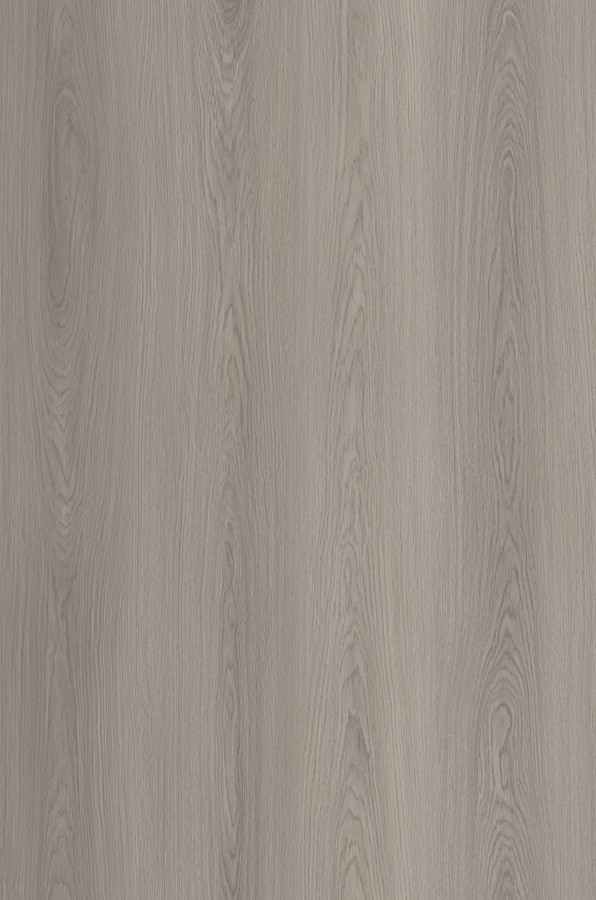 Classic Grey Oak 4.4mm SPC Click