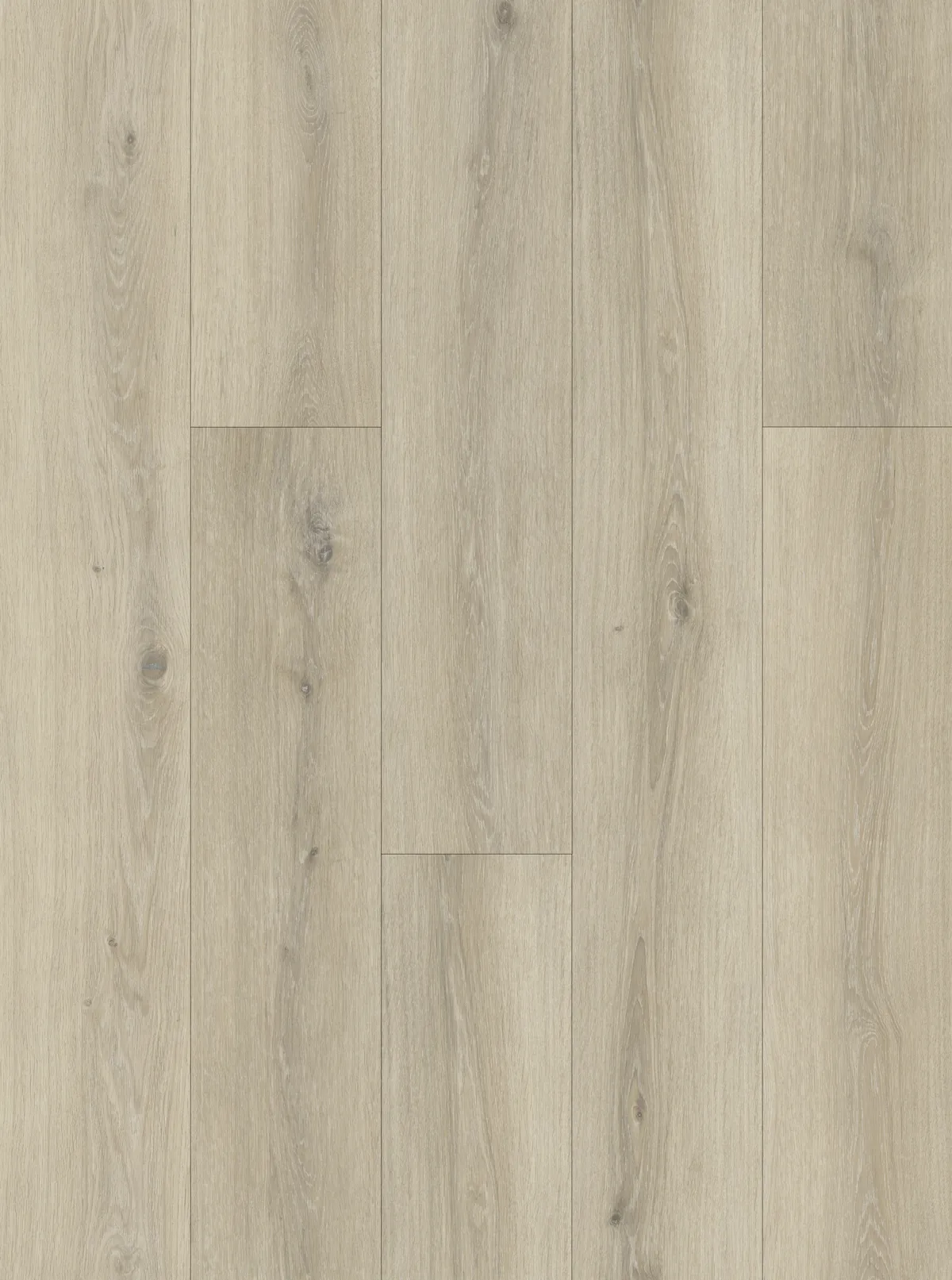 Buttermilk Oak 5mm SPC Click
