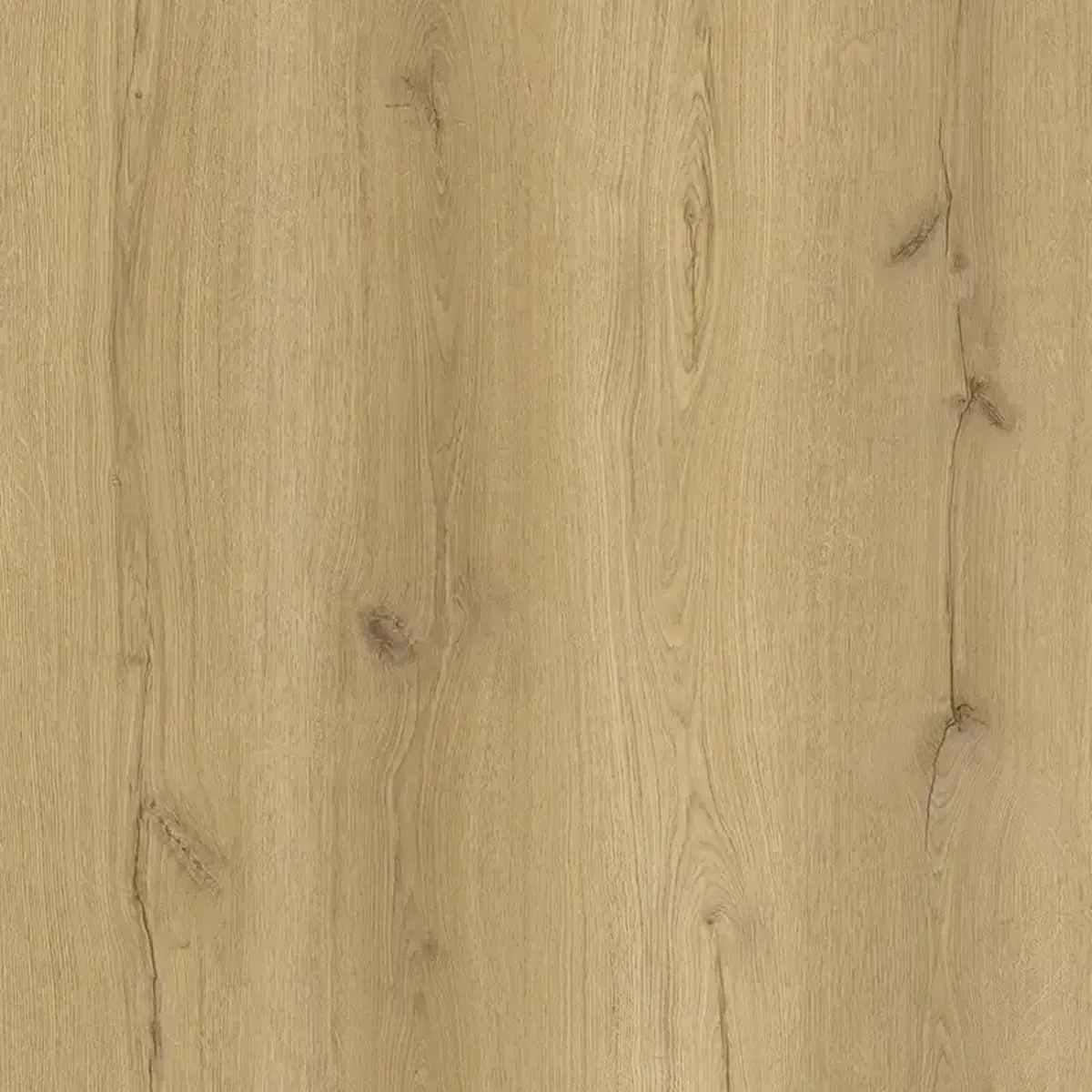 Elmwood Oak 5.2mm SPC Click