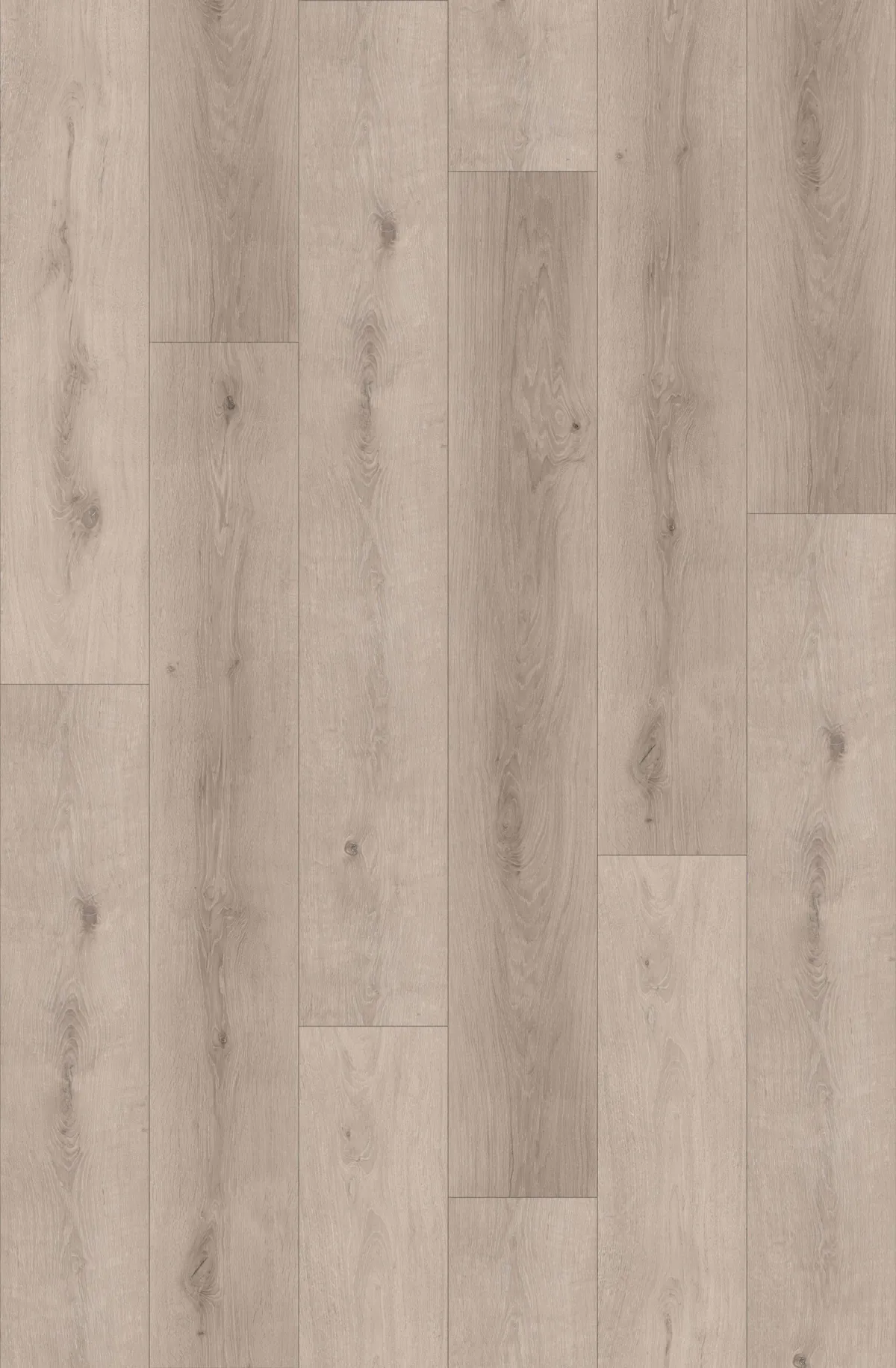 Victor Oak 5.2mm SPC Click