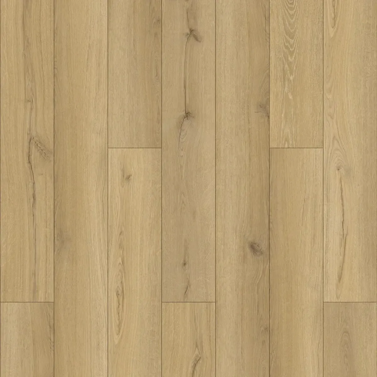 Elmwood Oak 5.2mm SPC Click