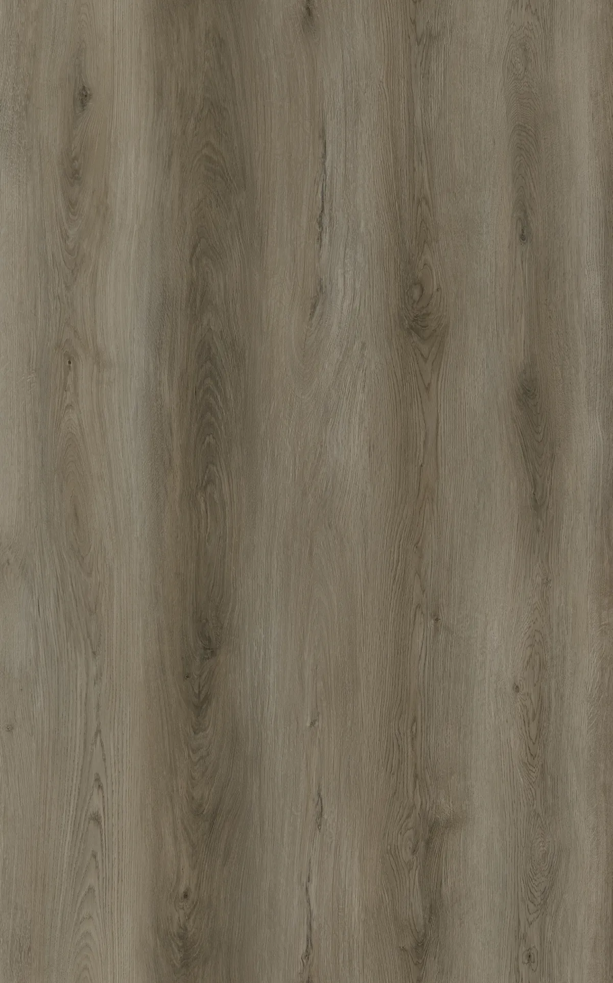 Gorge Oak 2.5mm LVT
