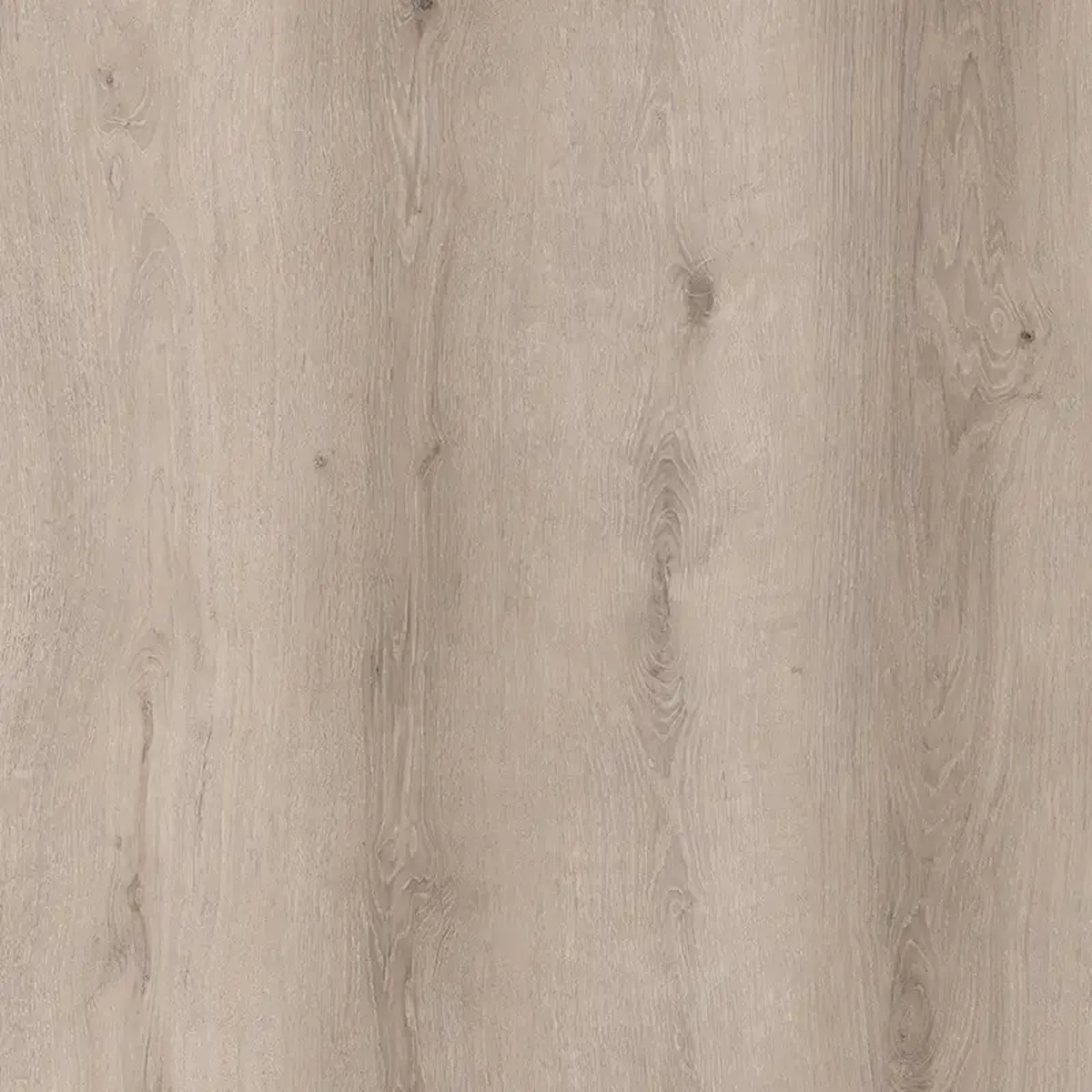 Victor Oak 5.2mm SPC Click