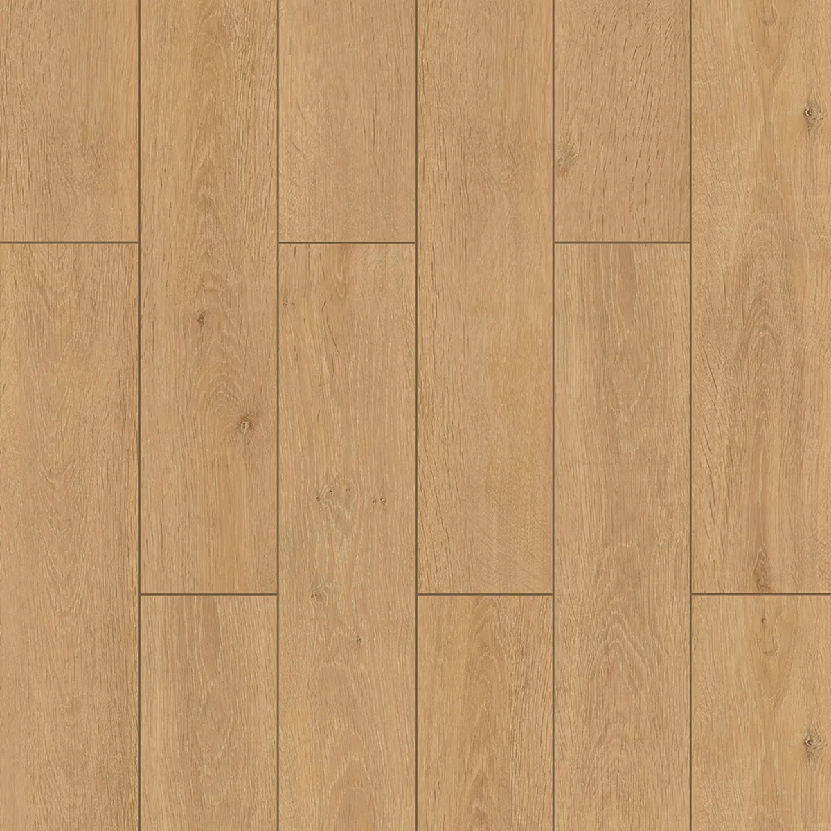 9m2 Sunshine Oak