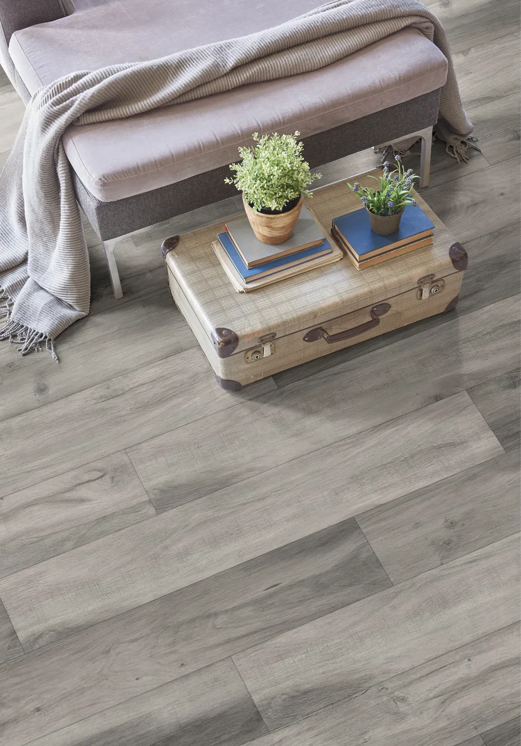 Monumental Grey Oak Dryback LVT