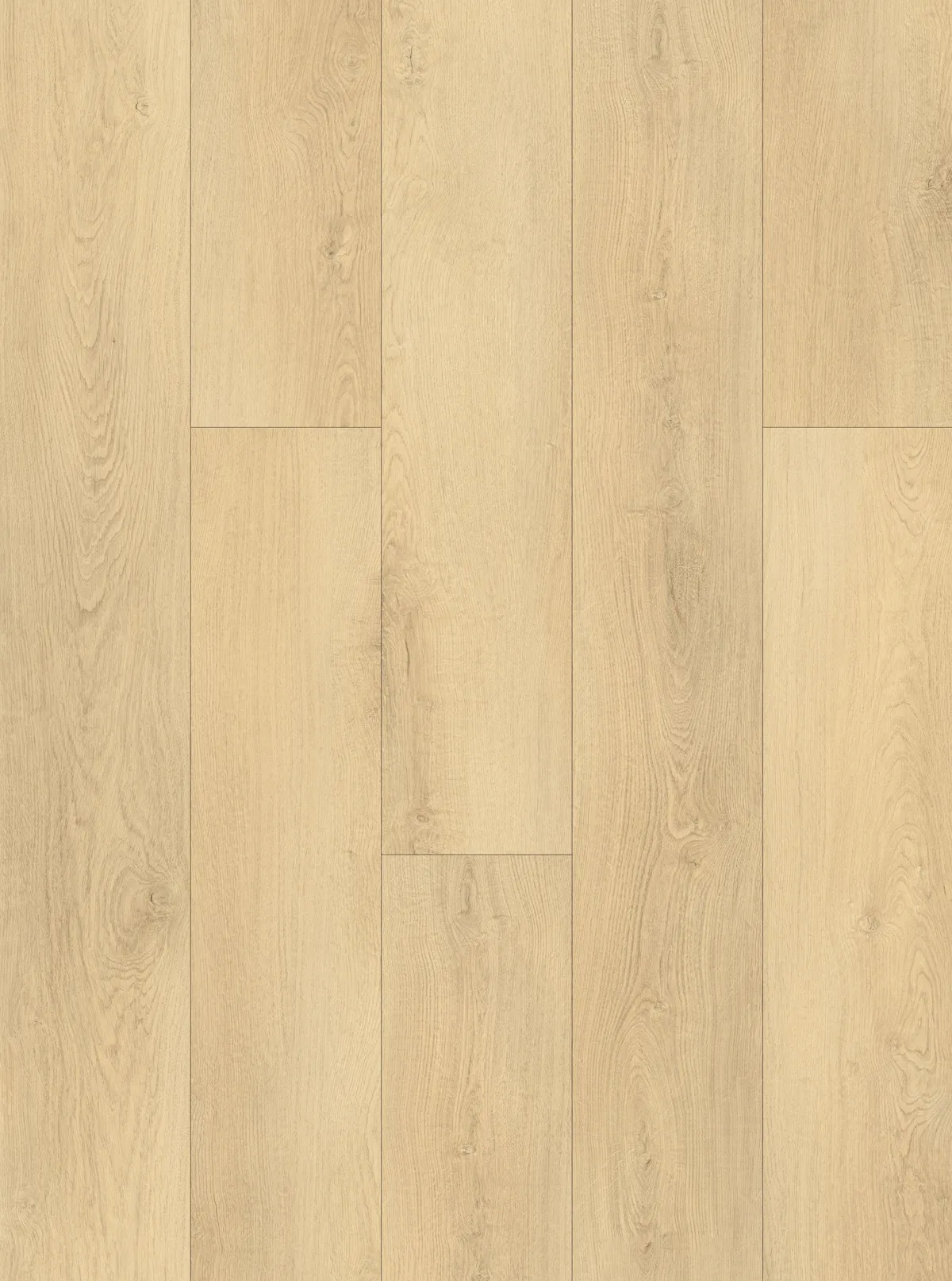 Champagne Drift Oak 5mm SPC Click