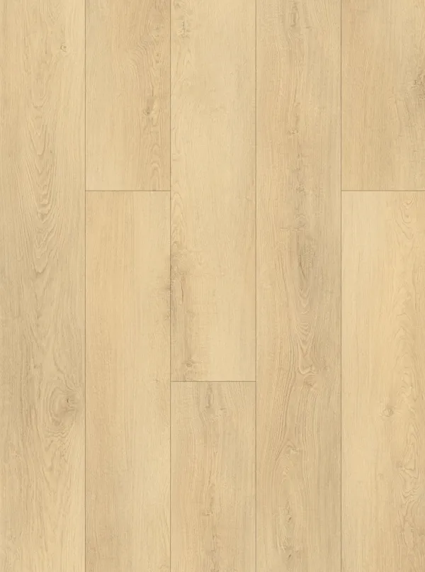 Champagne Drift Oak 5mm SPC Click