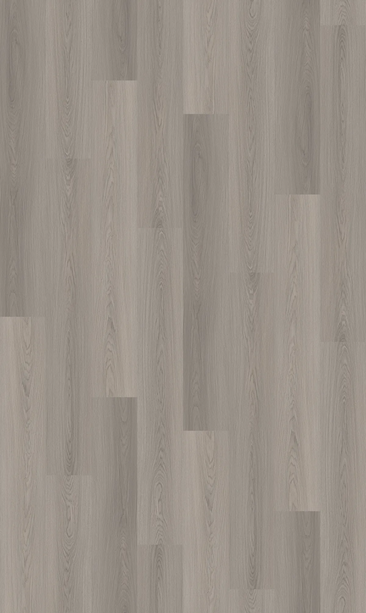 Classic Grey Oak 4.4mm SPC Click