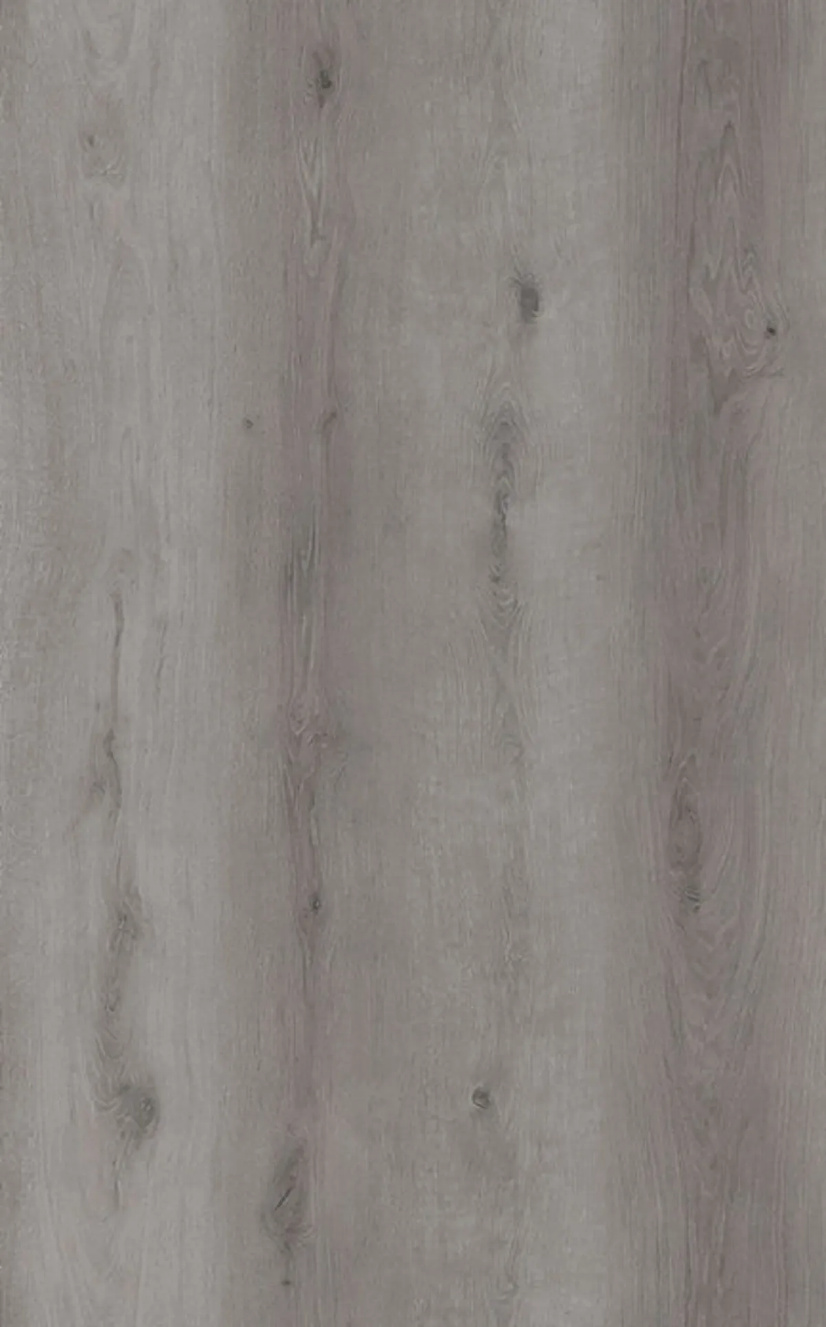 Soft Grey Oak Premium 8mm SPC Click