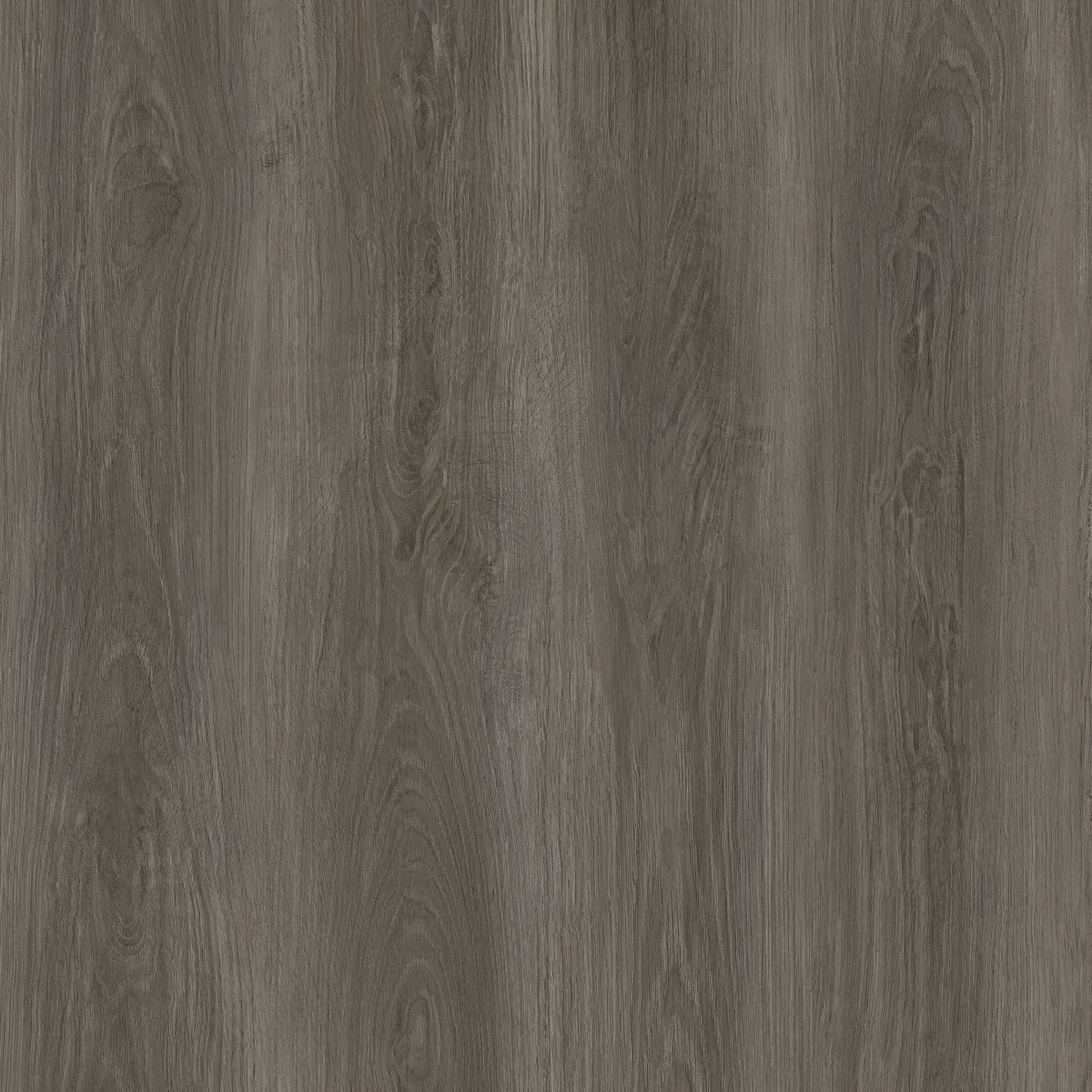 Shadow Grey Oak Dryback LVT