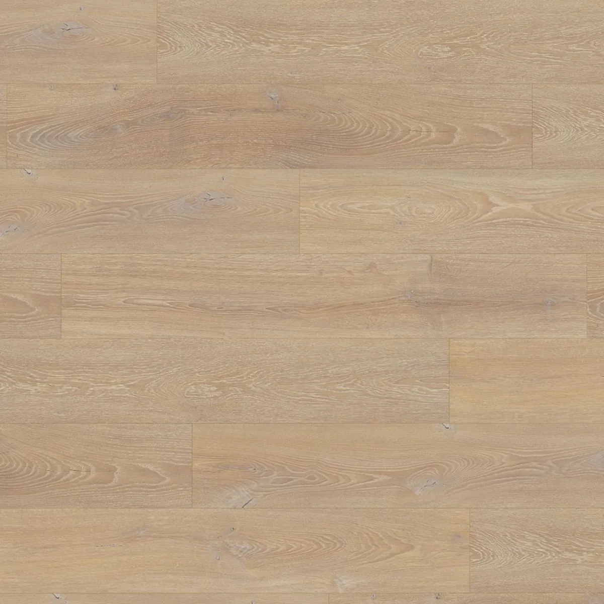 Dune Oak 12mm Laminate