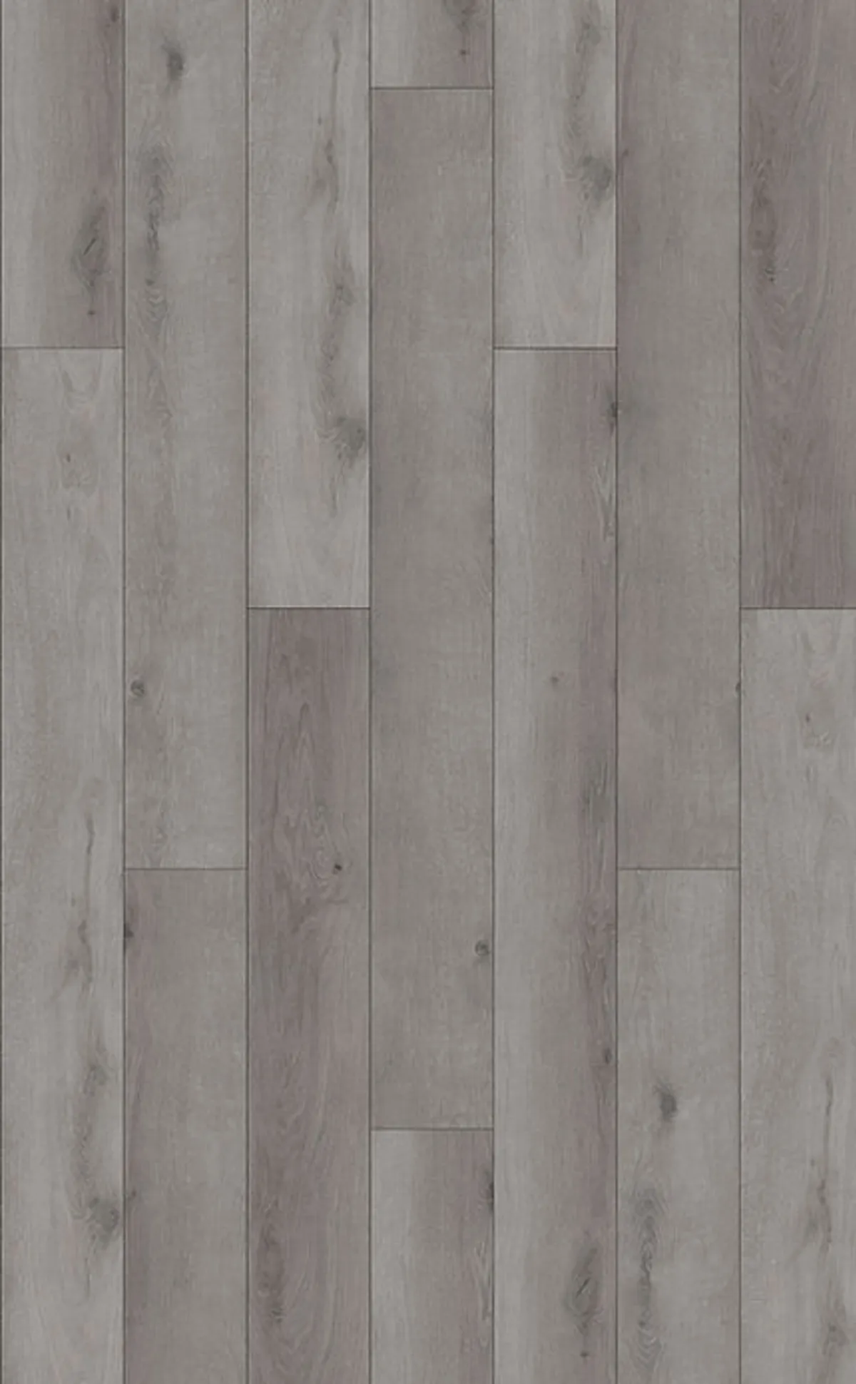 Soft Grey Oak Premium 8mm SPC Click