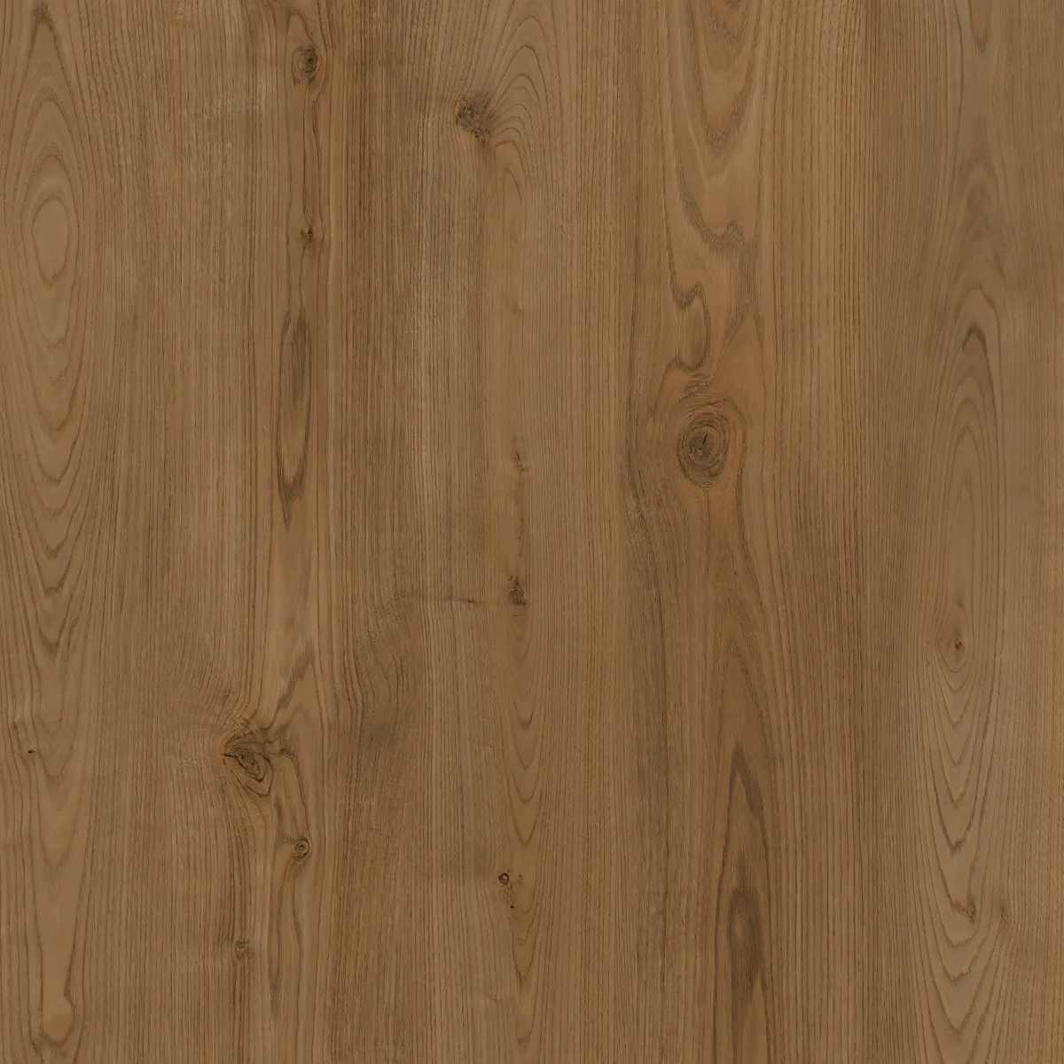 31m2 Heritage Oak Dryback