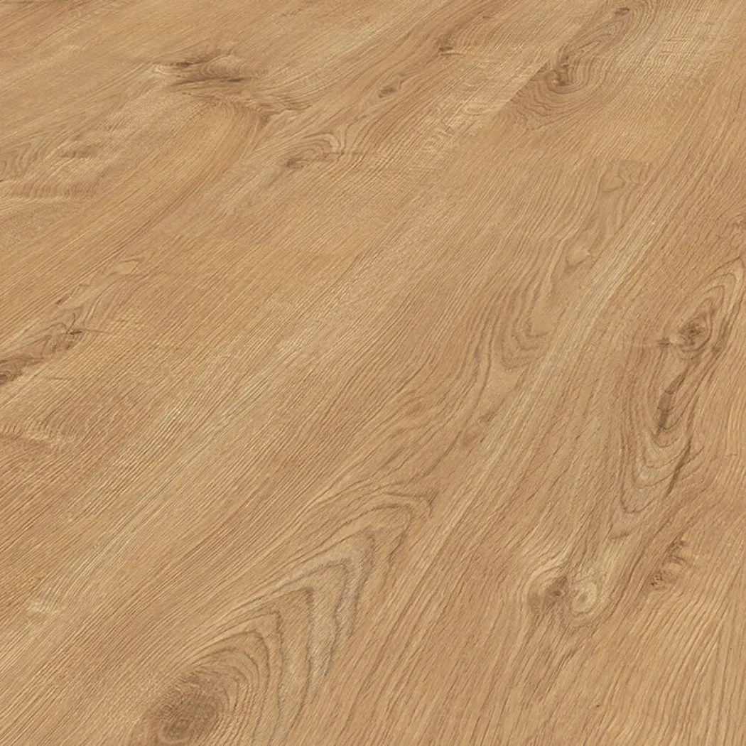 30m2 Bundle Forest Oak 12mm Laminate + FREE Underlay