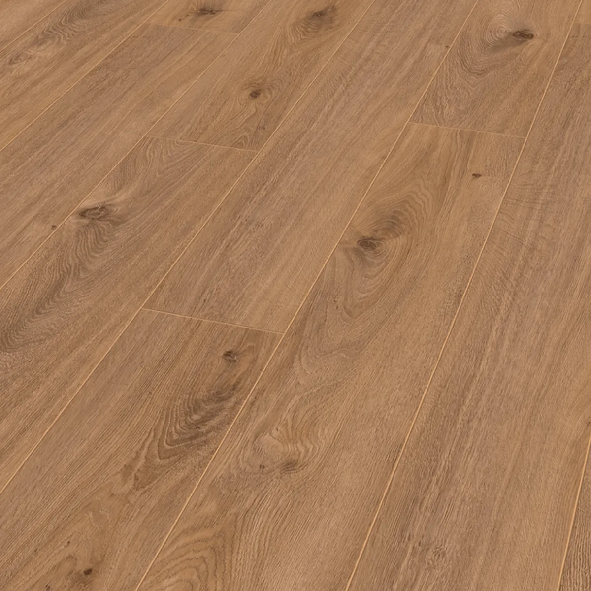 Prime Oak Nature 10mm Laminate 