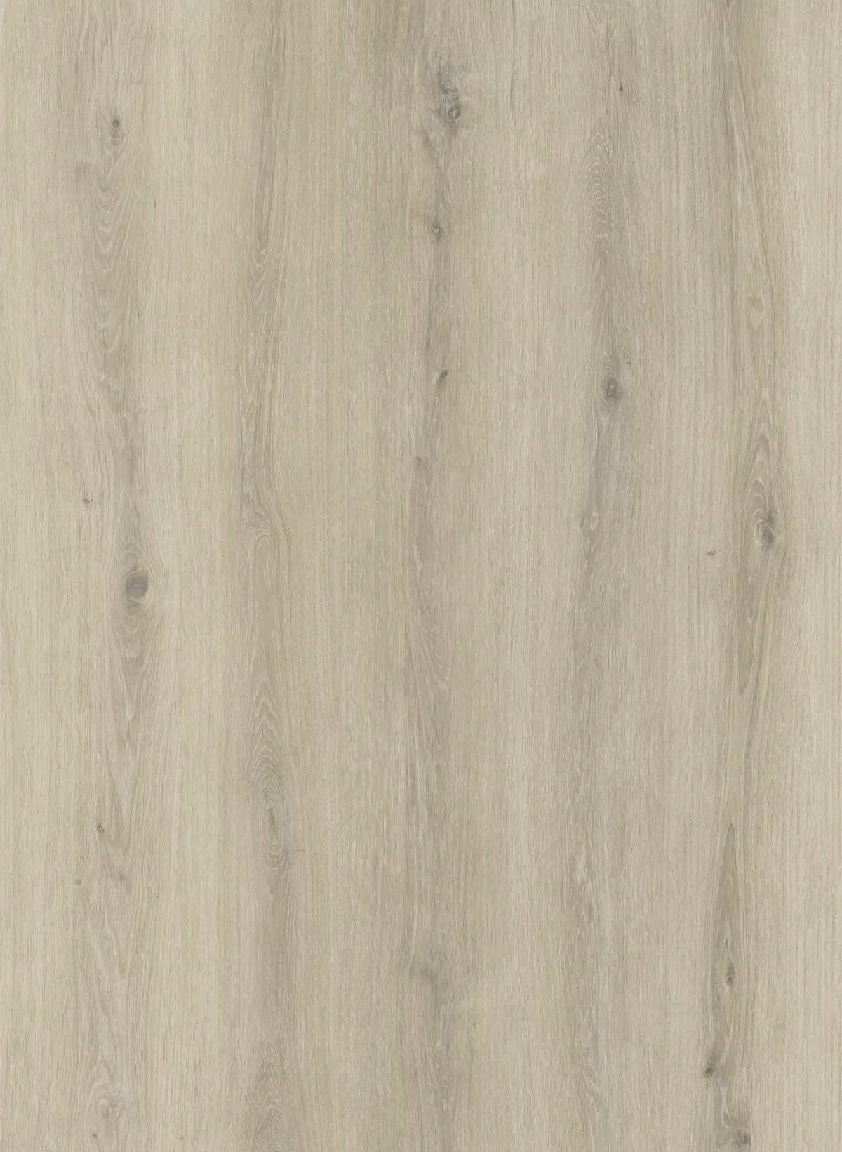 Buttermilk Oak 5mm SPC Click